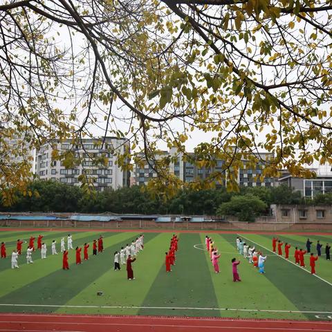 学拳无止境，杨拳添传人