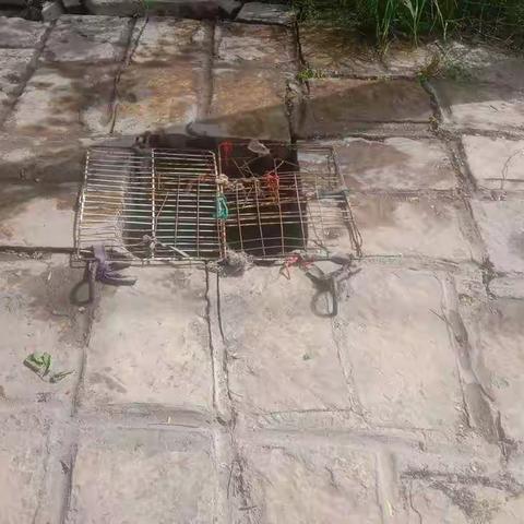 荣耀天下的美篇