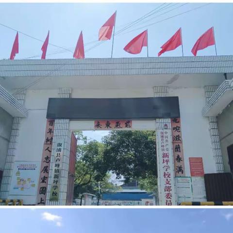 【喜报】热烈祝贺新坪学校舒兰兰同学在县运会上连获两个冠军！