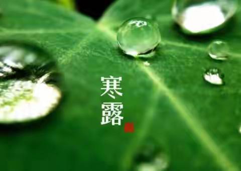 二十四节气之寒露