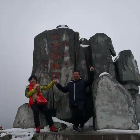 林芝色季拉山，海拔4720M，幸运遇到下雪，银装素裹，分外妖娆。