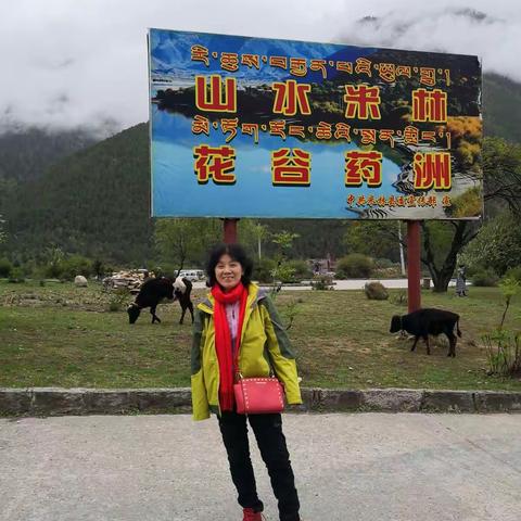 南伊沟属米林县，洛巴族的生活习俗，南伊河的潺潺流水，沿着蜿蜒曲折乡村公路来到麦克洪防线一中印边境线。