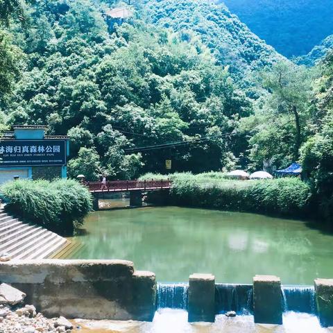 淳安千岛湖--林海归真景区