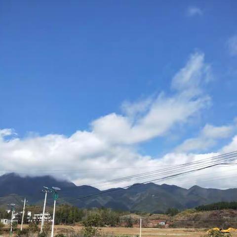 2月12日七(5)班线上学习