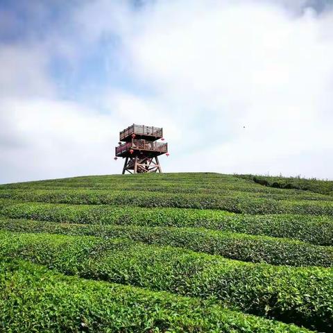 秋高气爽游美丽海潭村