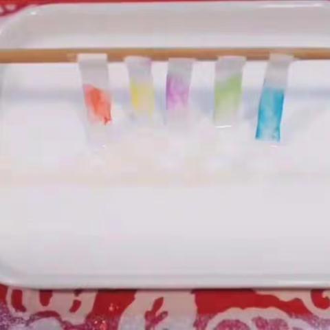 科学小实验《上升的颜色》