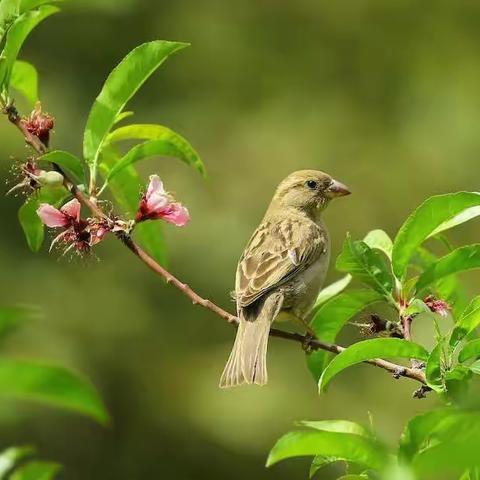 家庭教育学习笔记：一个家越过越好，从戒掉这四种说话语气开始