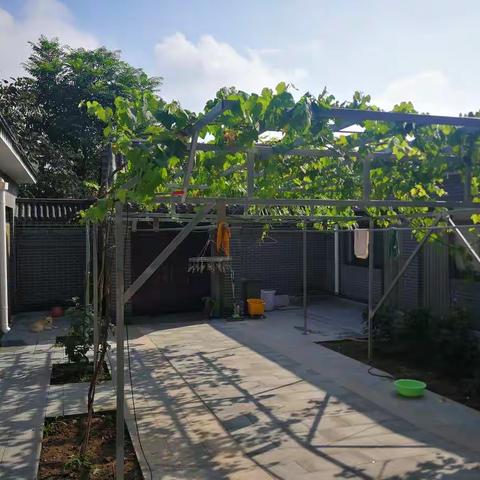                 相聚醉望阁20180902/03大学同学相聚平谷宋学成家的农家乐！