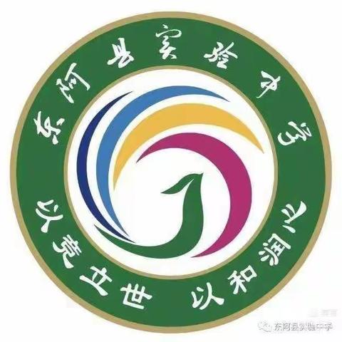 同课异构，绽放光彩——记东阿县实验中学初二物理组同课异构活动