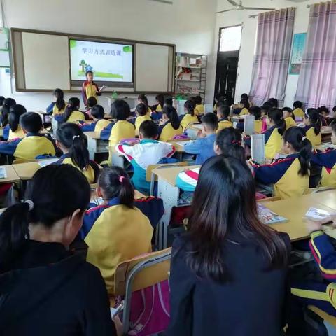 江岸小学162班英语公开课