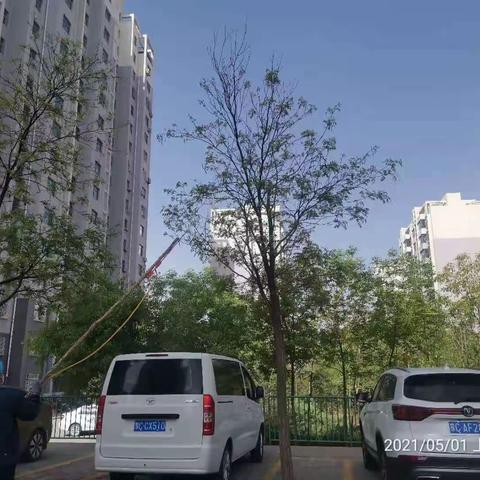 林荫街道依林社区“五一劳动节”我们这样做