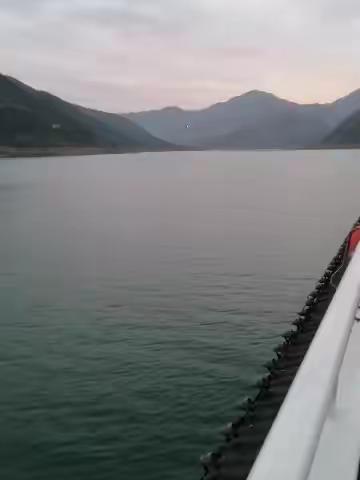 蔬菜爷爷的美篇