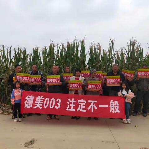 德美003注定不一般