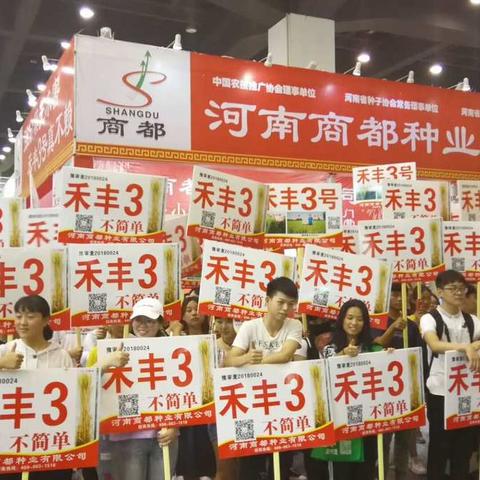 小麦禾丰3真是不简单