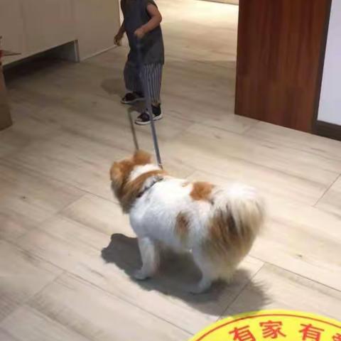 头条1-港股-互联网+泡沫