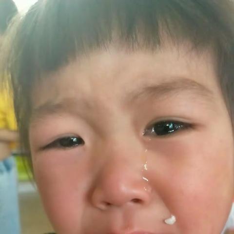 红缨连锁幼儿园启蒙幼儿园小班