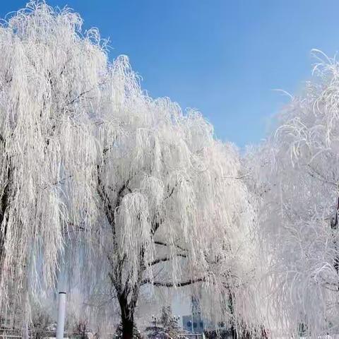 望远行·迎春贺岁