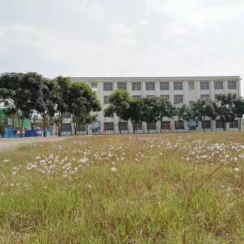 瑞丽市小学2020年春季开学第二周网上教学校长寄语