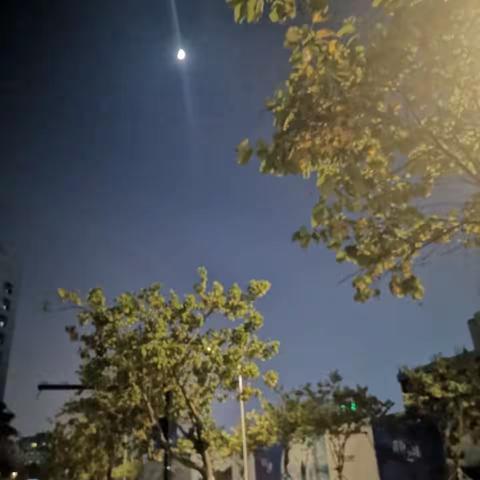 夜与色的交融