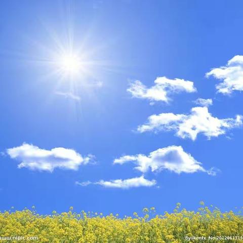 大班主题活动《小小播报员》