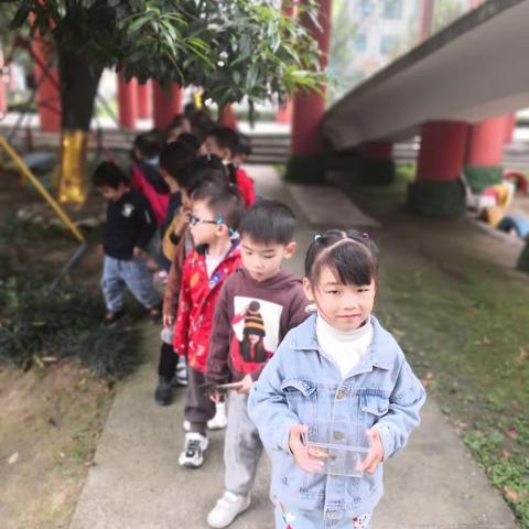 【课题动态】中四班课程故事——小金鱼怎么了？