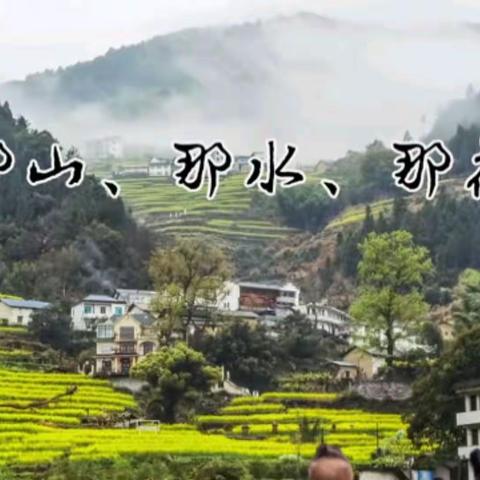 那山、那水、那些花