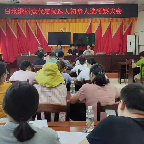 白水港村委会召开党代表候选人初步人选考察大会