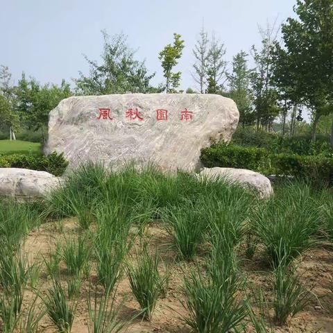 游南海子公园话麋鹿