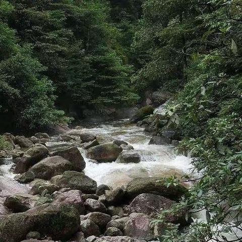 游羊狮慕野牛瀑大峡谷