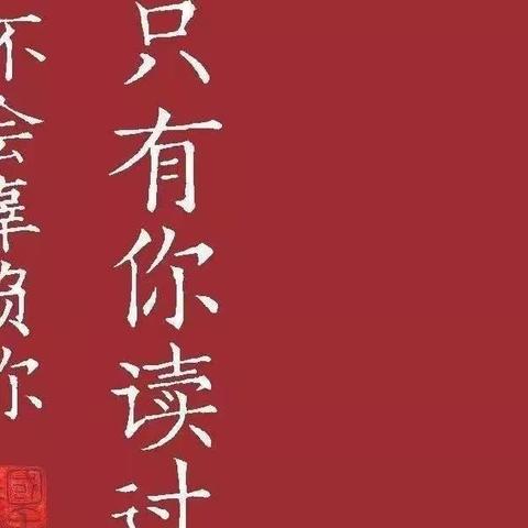 胸藏文墨虚若谷，腹有诗书气自华——记余店镇飞翔学校作文竞赛