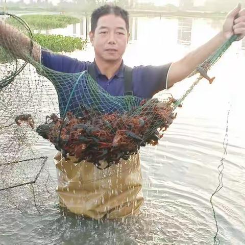 袁，圆缘元的美篇