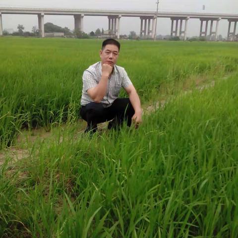我是 😄 袁圆元。