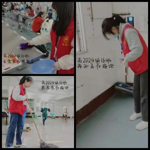 2024级16班社会实践