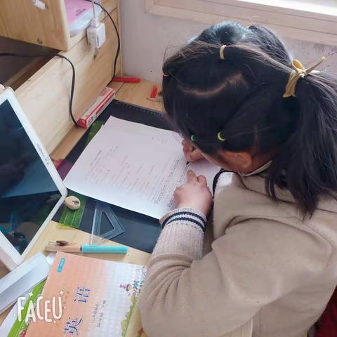 誰能任性不認命的美篇（副本）