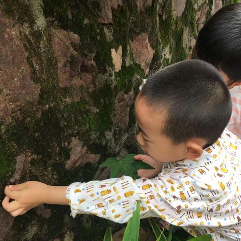 寻找蜗牛🐌的秘密