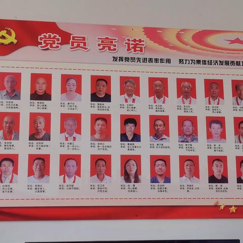 践行党员承诺  争做合格党员