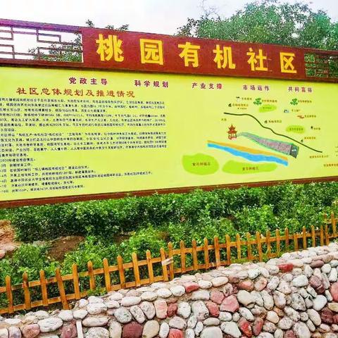 农业结构新调整 百年华诞谱新篇——左权拐儿桃园村有机社区发展纪实