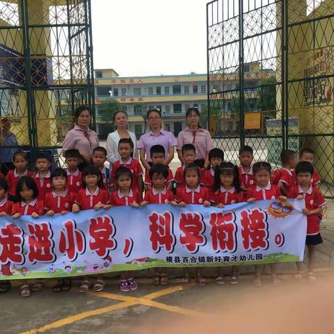 幼小衔接――百合镇新圩育才幼儿园大大班小学体验之旅