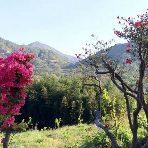 2017年4月28日⋯29日安吉、湖州二日游！