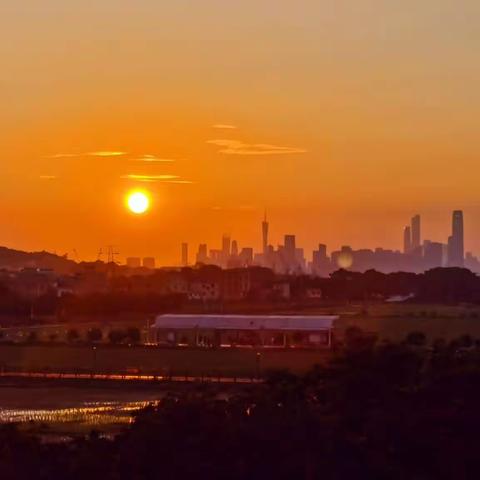 羊城的七彩夏日