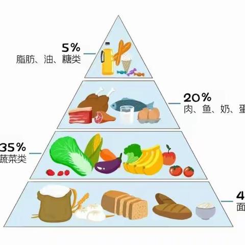 【舌尖上的美味】搬经园第十六周营养食谱