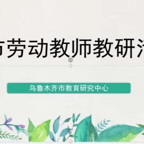 云端教研聚智慧 劳动教育新起航——沙依巴克区劳动教师参加全市劳动课程主题教研活动