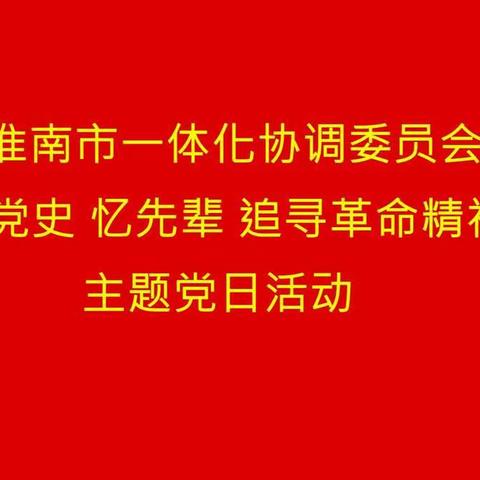 淮南市一体化协调委员会“学党史 忆先辈 追寻革命精神”主题党日活动