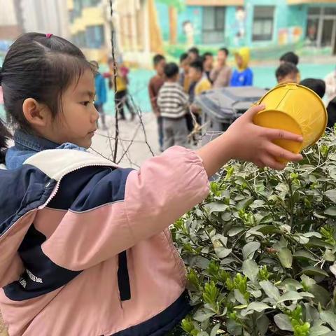 “拥抱春天 呵护绿色”金色摇篮幼儿园植树节活动播报