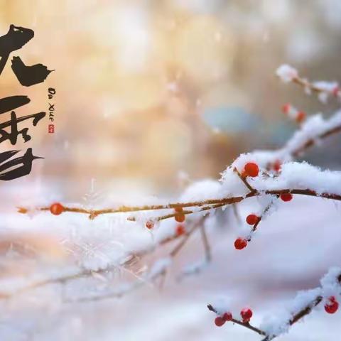 【全环镜立德树人】二十四节气——大雪金色摇篮幼儿园主题活动