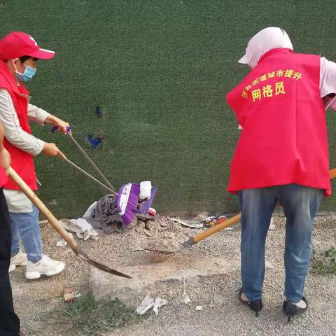 加强日常保洁，提升村庄整体形象