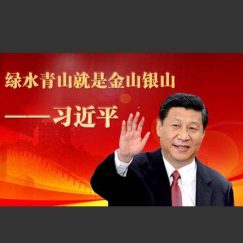 王店乡多措并举助推“创森”工作再提升