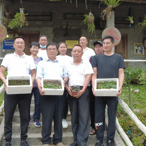 孙卫邦研究员一行赴云南省极小种群野生植物重点实验室麻栗坡研究基地调研