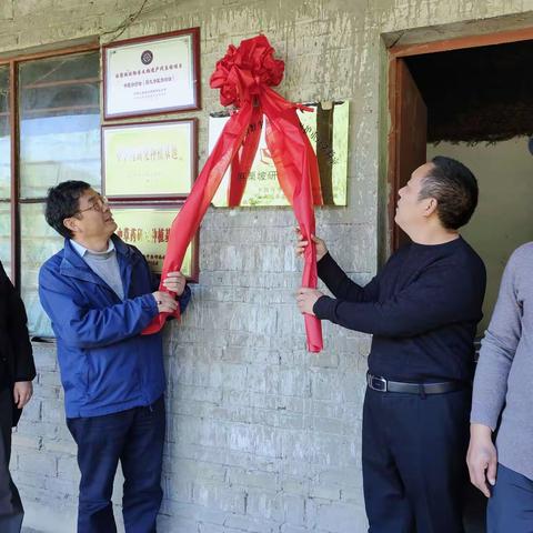 云南省极小种群野生植物综合保护重点实验室麻栗坡研究基地成立