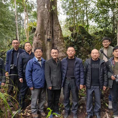 中科院昆明植物研究所研究员孙卫邦一行赴云南省极小种群野生植物综合保护重点实验室麻栗坡研究基地调研指导